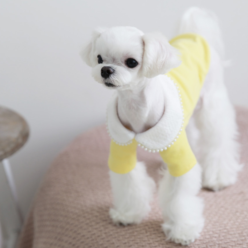 진주 카라 강아지 티셔츠 - 옐로우애견의류,애견옷
