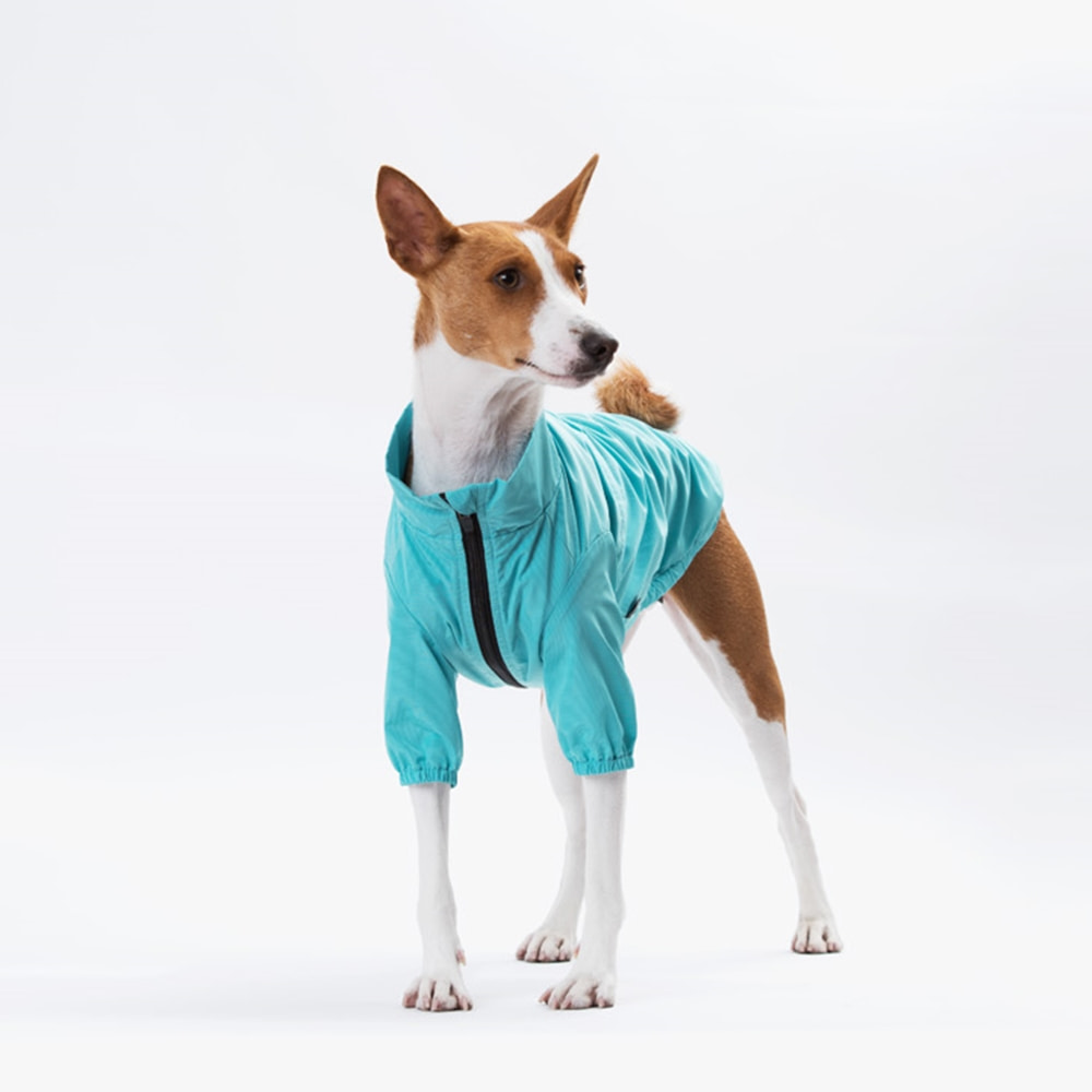 윈드 쉴드 웜 자켓 강아지 점퍼 블루애견의류,애견옷