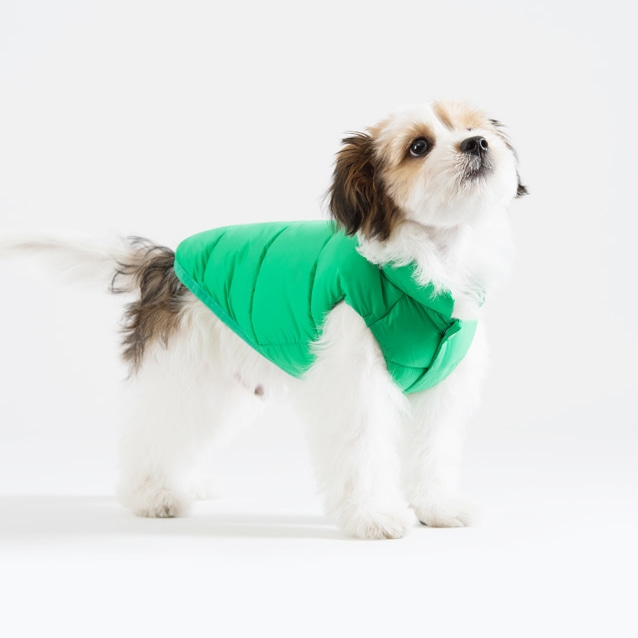 에코 다운 초경량 강아지 패딩애견의류,애견옷