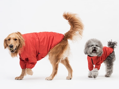 윈드 쉴드 웜 자켓 강아지 점퍼 레드애견의류,애견옷